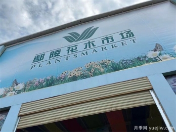 鄢陵县花木产业未必能想到的那些问题